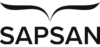 Международная школа скорочтения и развития интеллекта Sapsan