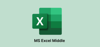 MS Excel Middle