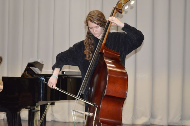 Струнные инструменты